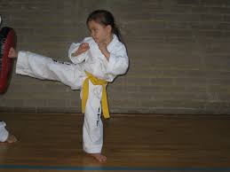 Image result for Hed Tkd (Dorking Tae Kwon-Do)