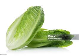 Image result for Römischer Salat