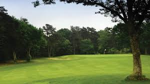 Image result for Falmouth Scrabble Club