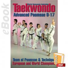 Image result for Reading Wtf Taekwondo
