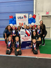 Image result for Sutton At Home Gymnastics Club