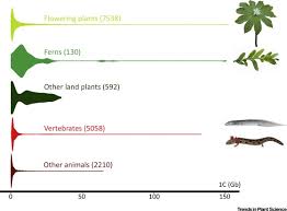 Image result for genome sizes