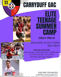 Image result for Carryduff Gaelic Athletic Club