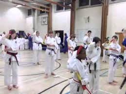 Image result for Zen Shin Seicho Do Adult Karate