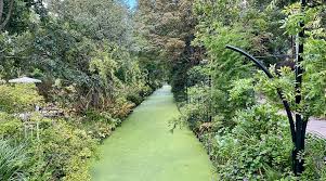 Image result for Arboretum Trompenburg