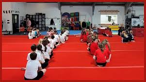 Image result for Buckley Girls Gymnastic Club