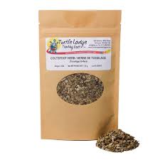 Attēlu rezultāti vaicājumam “Tussilago farfara fruit”