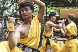 Image result for kung fu
