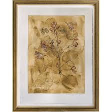 Attēlu rezultāti vaicājumam “Lonicera caprifolium”