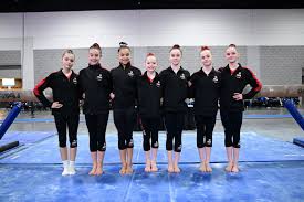 Image result for York University Gymnastics Club