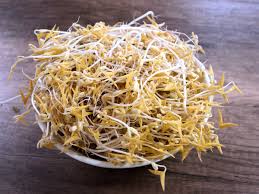 Image result for bean sprout