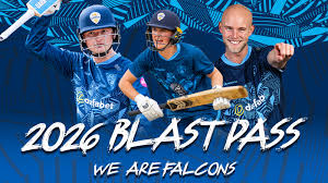 Image result for Runnymede Rascals Cricket Club