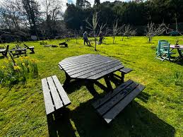 Image result for Argyle Gardens Bowling Club Trust