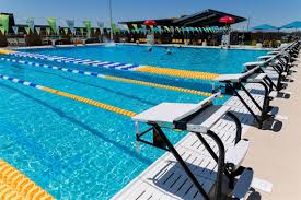 Image result for Link Leisure