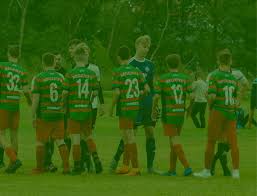 Image result for Herdings Park Football Club