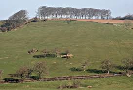 Image result for ninetree hill bristol