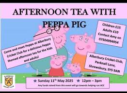 Image result for Alberbury Cricket Club