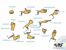 Image result for Breakthrough Tae Kwon Do