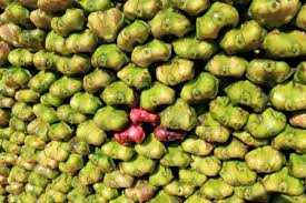 Attēlu rezultāti vaicājumam “Trapaceae”