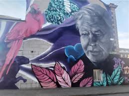 Image result for Portobello Asc