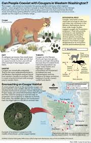 Image result for Craigmount Cougars