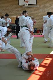 Image result for Ju Jitsu Tavistock