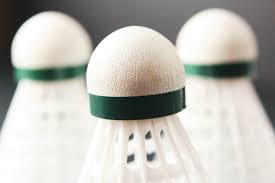 Image result for Great Barr Badminton Club