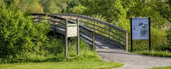 Image result for Thorn Park L T C