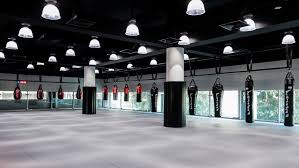 Image result for Muay Thai Clubs
