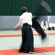 Image result for Ki Aikido (Epsom Ki Aikido