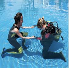 Image result for Discover Swimming