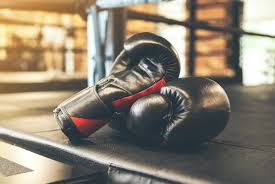 Image result for York University Boxing Club
