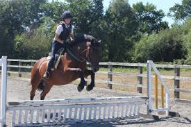 Image result for South Weylands Equestrian