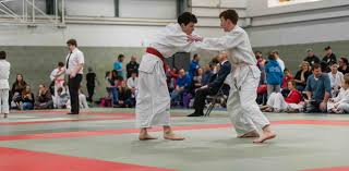 Image result for Carn Brea Karate Kai