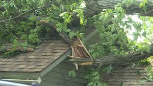 Image result for Halstead Cyclones