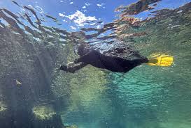 Image result for Darwen Snorkelling Club