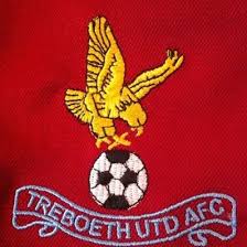 Image result for Treboeth All-Stars