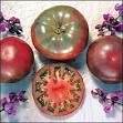 Ark of Taste : Cherokee Purple Tomato : Slow Food USA