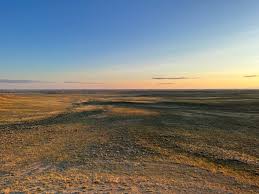 Image result for jonah gas field