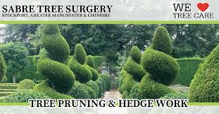 Image result for Stockport Sabres