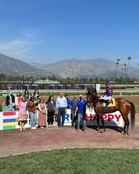 Image result for Woodhill Riding Club