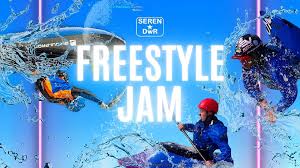 Image result for Seren Dwr