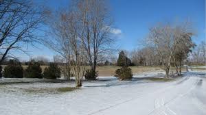 Image result for Hazel Grove