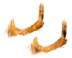 Attēlu rezultāti vaicājumam “Epermenia falciformis”