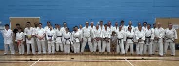 Image result for Excalibur Shotokan Karate Club