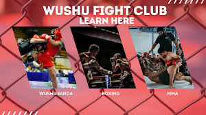 Image result for North West Chinese Kickboxing