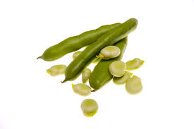 Image result for Dicke Bohnen