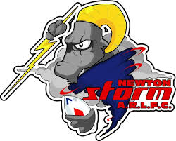 Image result for Newton - Le - Willows A R L F C