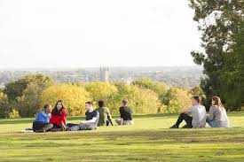 Image result for University Of Kent Cricket Club