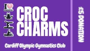 Image result for Cardiff Olympic Gymnastics Club